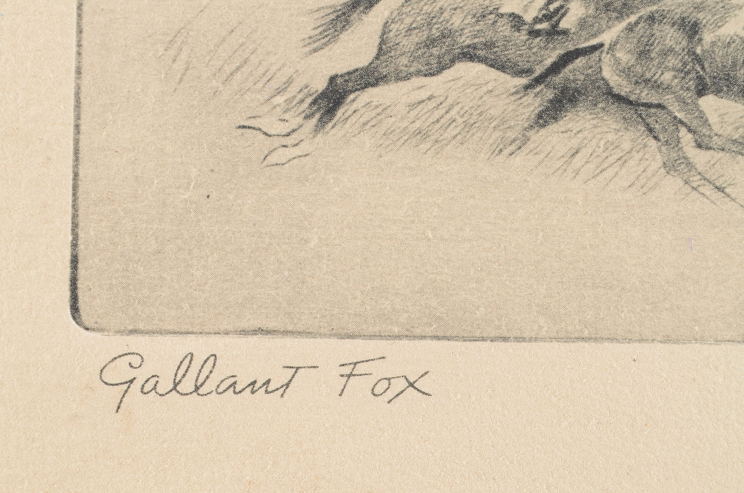 Etching Print of Thoroughbred Champion Gallant Fox by R. H. Palenske