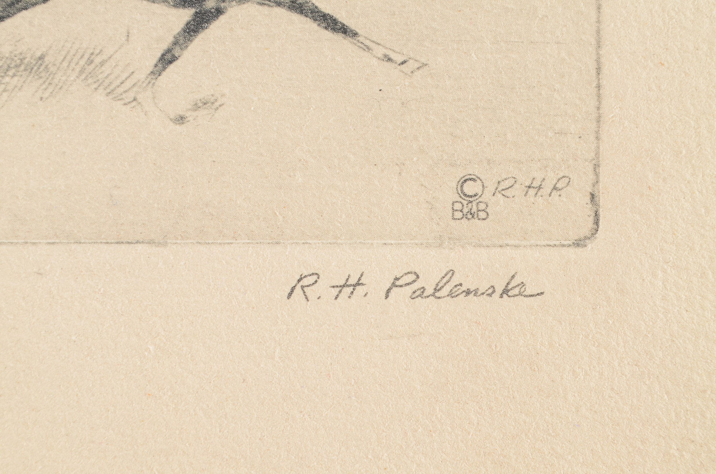 Etching Print of Thoroughbred Champion Gallant Fox by R. H. Palenske