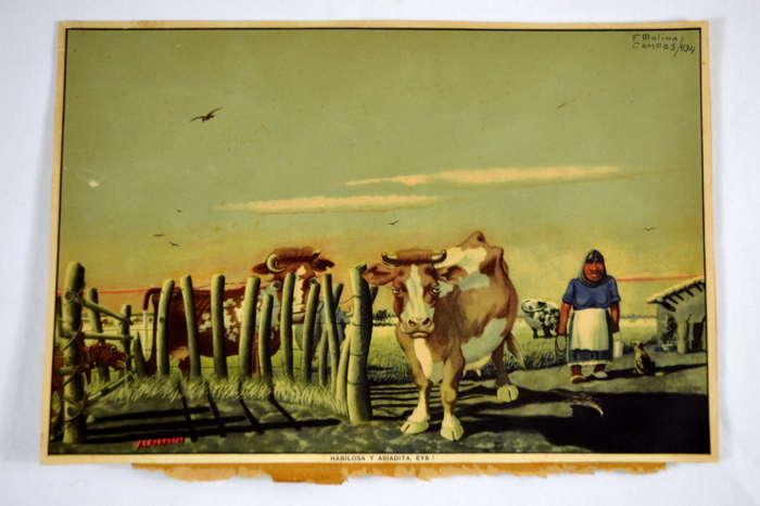 17 Florencio Molina Campos Prints 