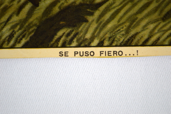 17 Florencio Molina Campos Prints 