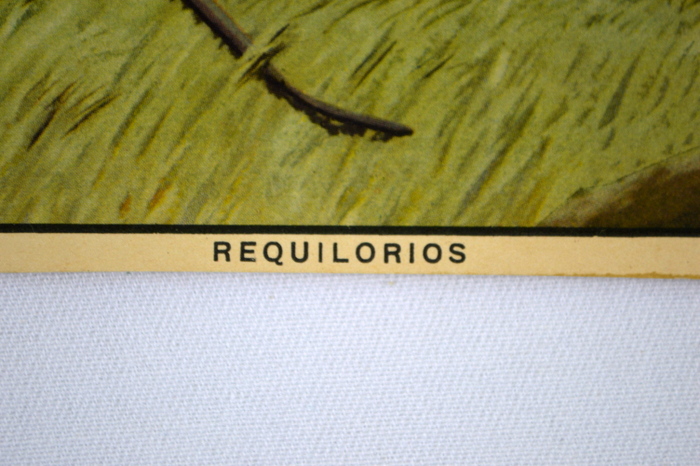 17 Florencio Molina Campos Prints 