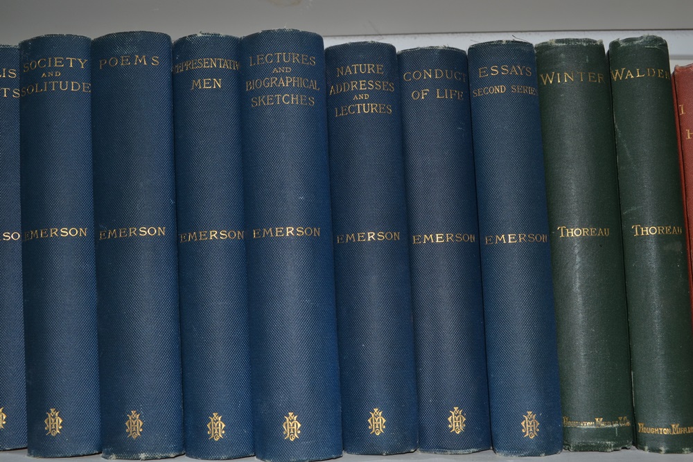  Vintage Classic Literature and Poetry Book Lot