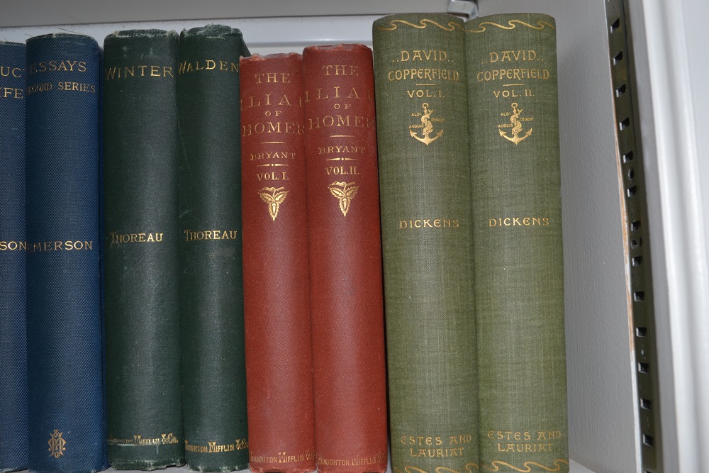  Vintage Classic Literature and Poetry Book Lot