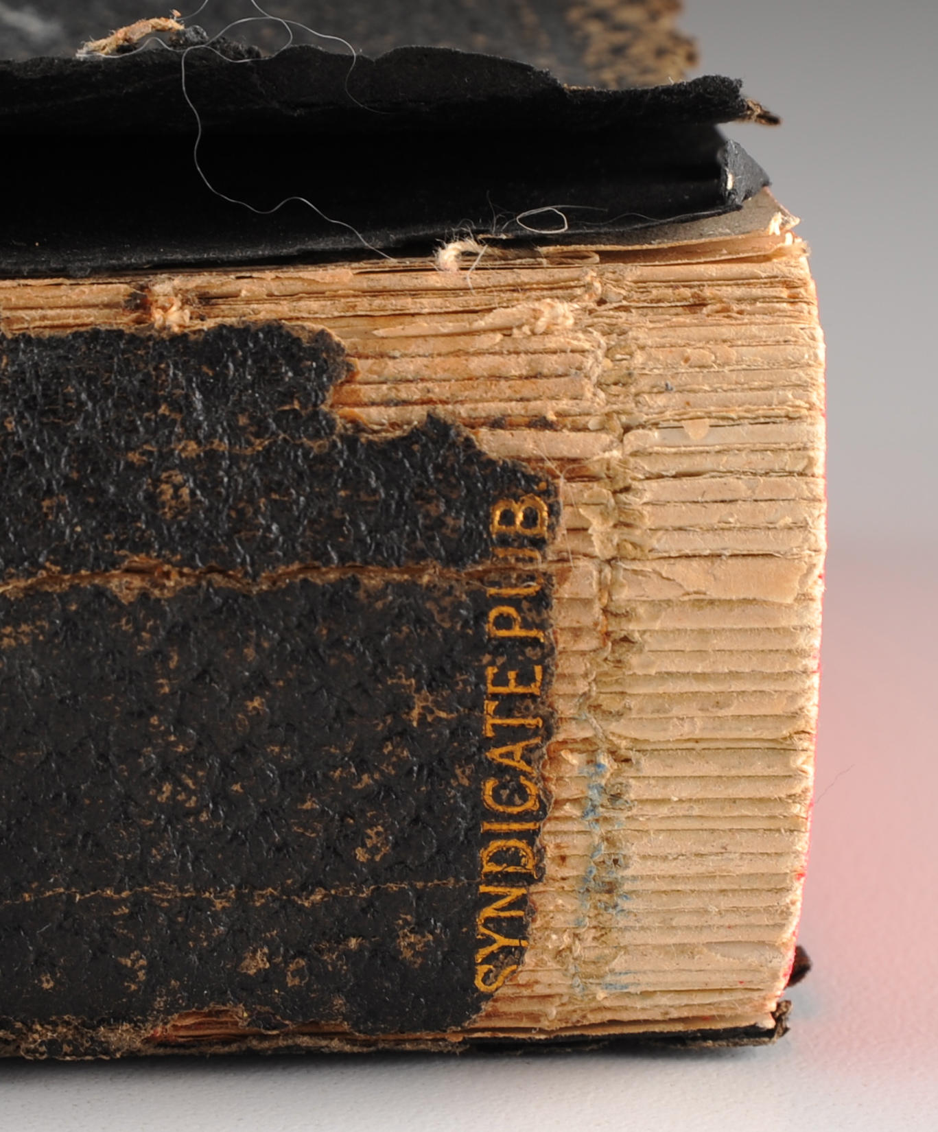 New Websterian 1912 Dictionary Illustrated