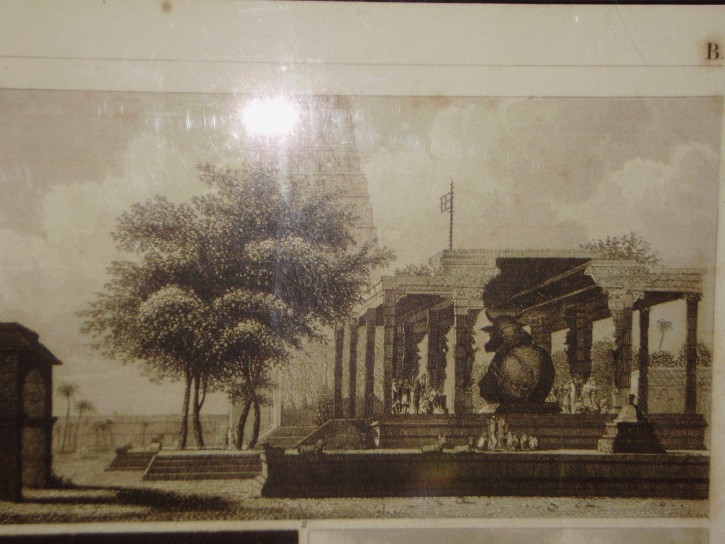 Antique Henry Winkles Engraving After Works by Johann Georg Heck