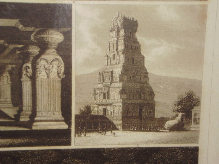 Antique Henry Winkles Engraving After Works by Johann Georg Heck