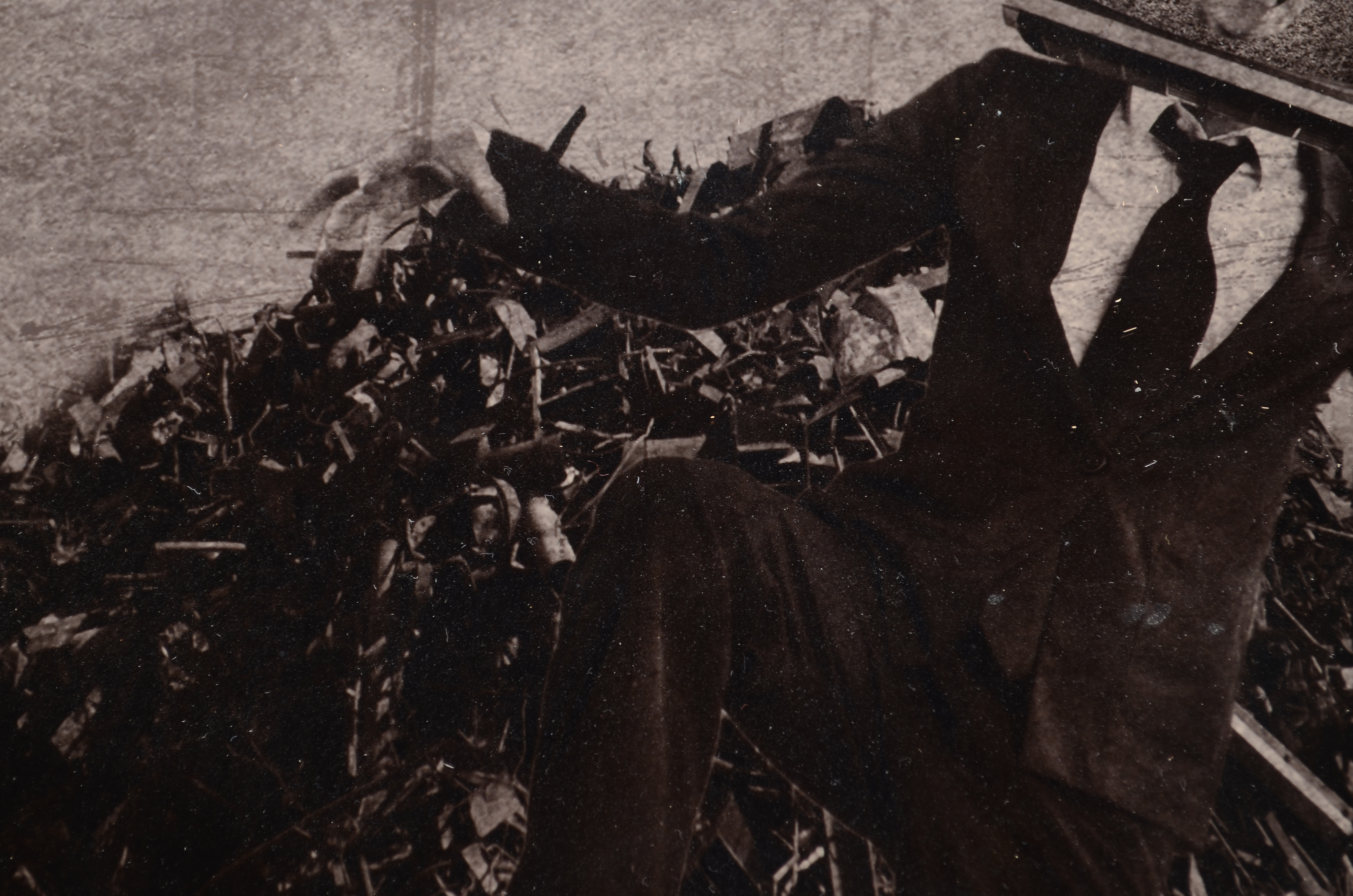 Photograph Montage By Taylor Marquardt