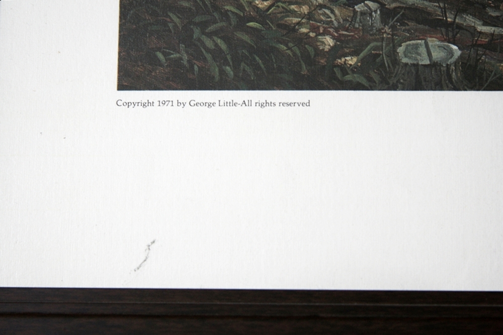 George Little Print