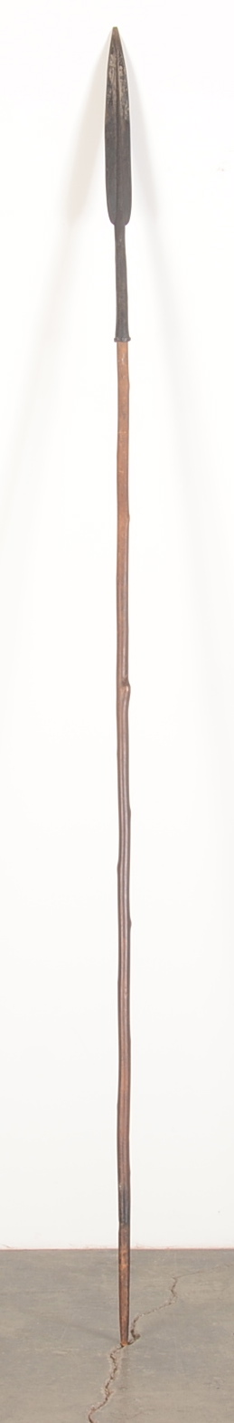 Somali/Danakil African Spear