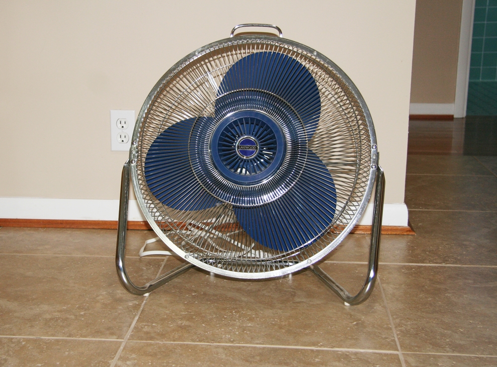Lakewood Fan
