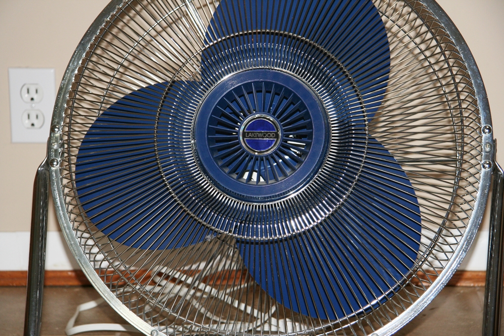 Lakewood Fan