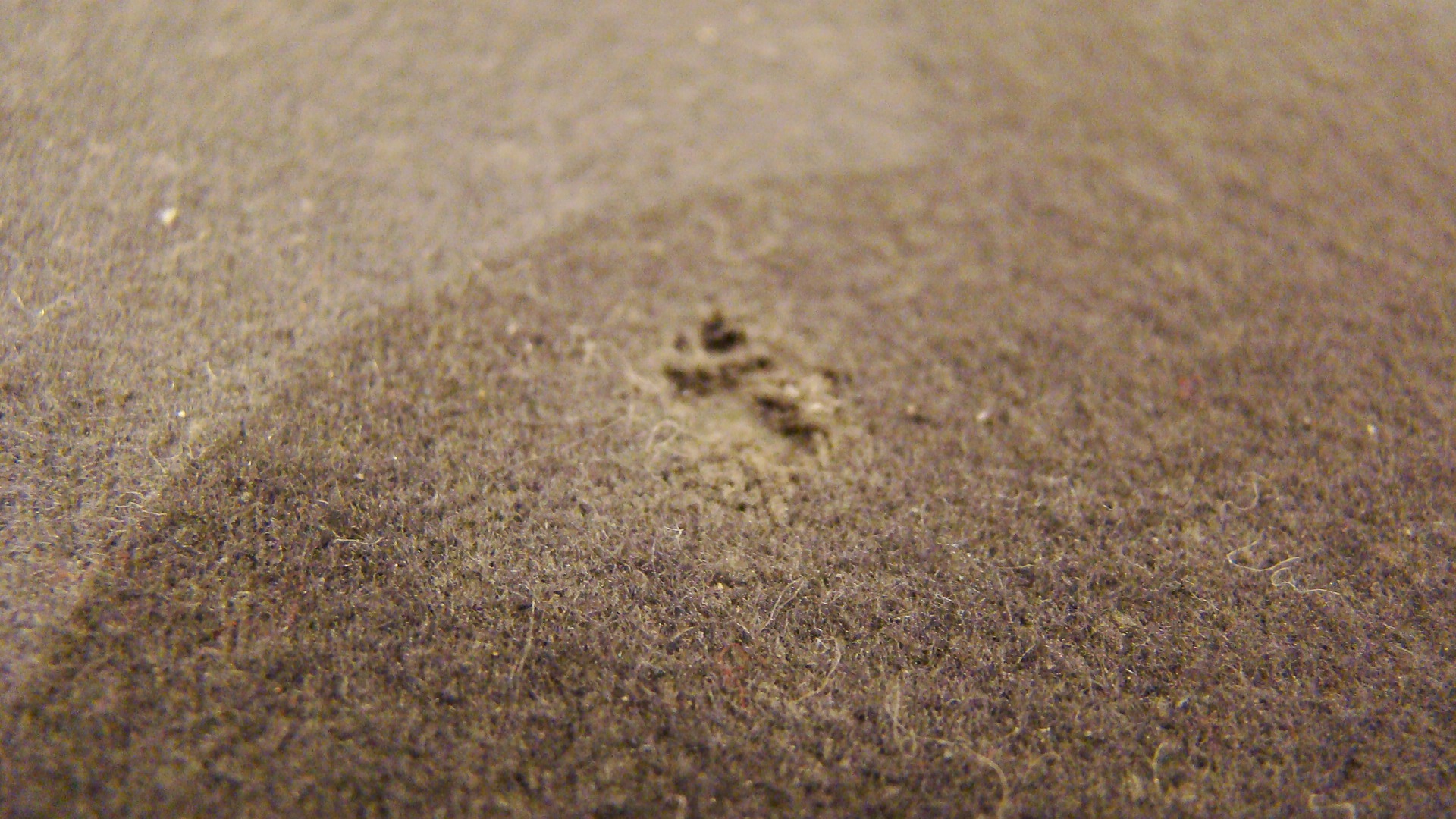 Billiard Table "The Aurora" by Kasson and Cover.