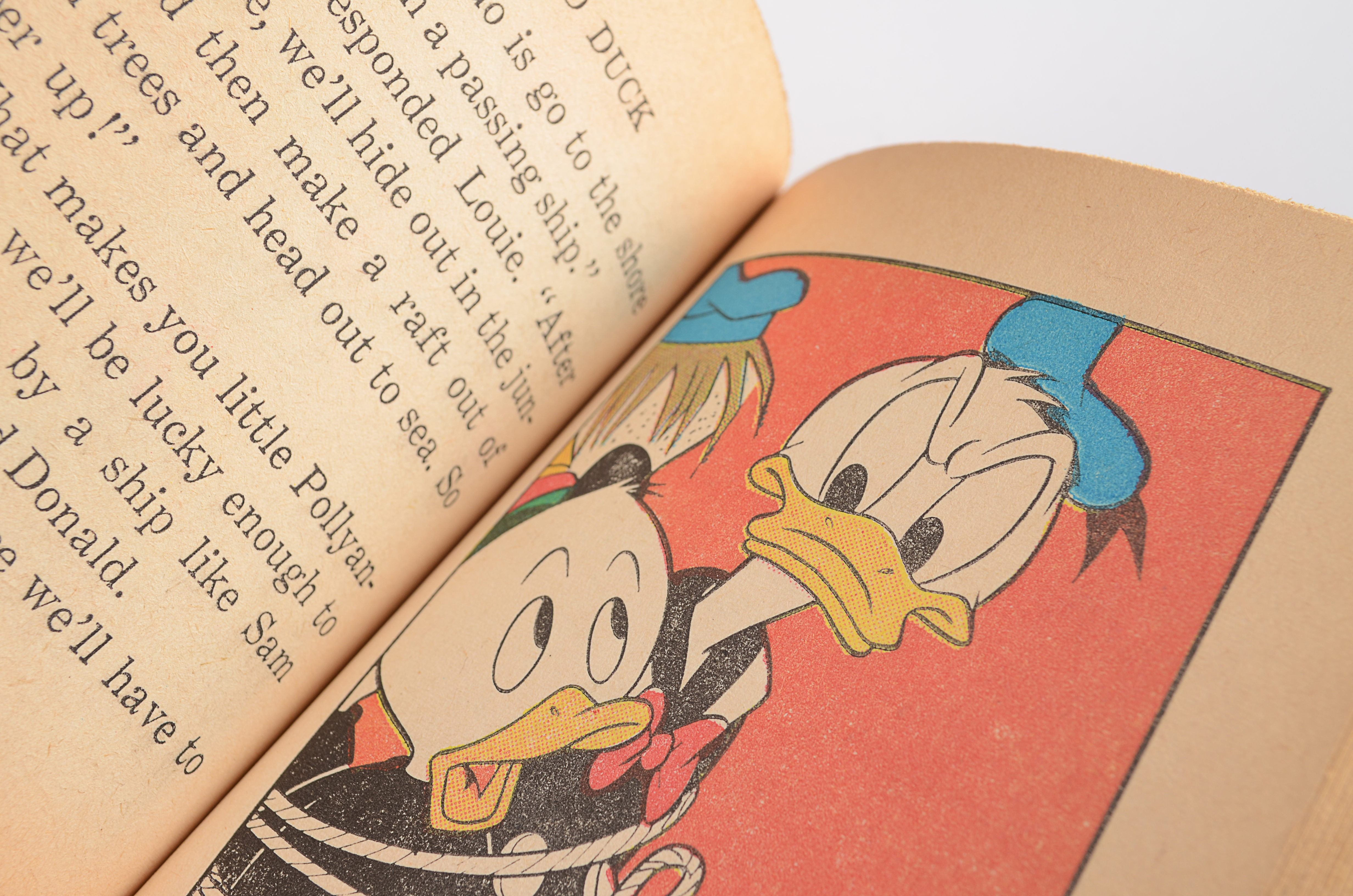 Donald Duck and Shazzan Illustrated "Little Big Books"