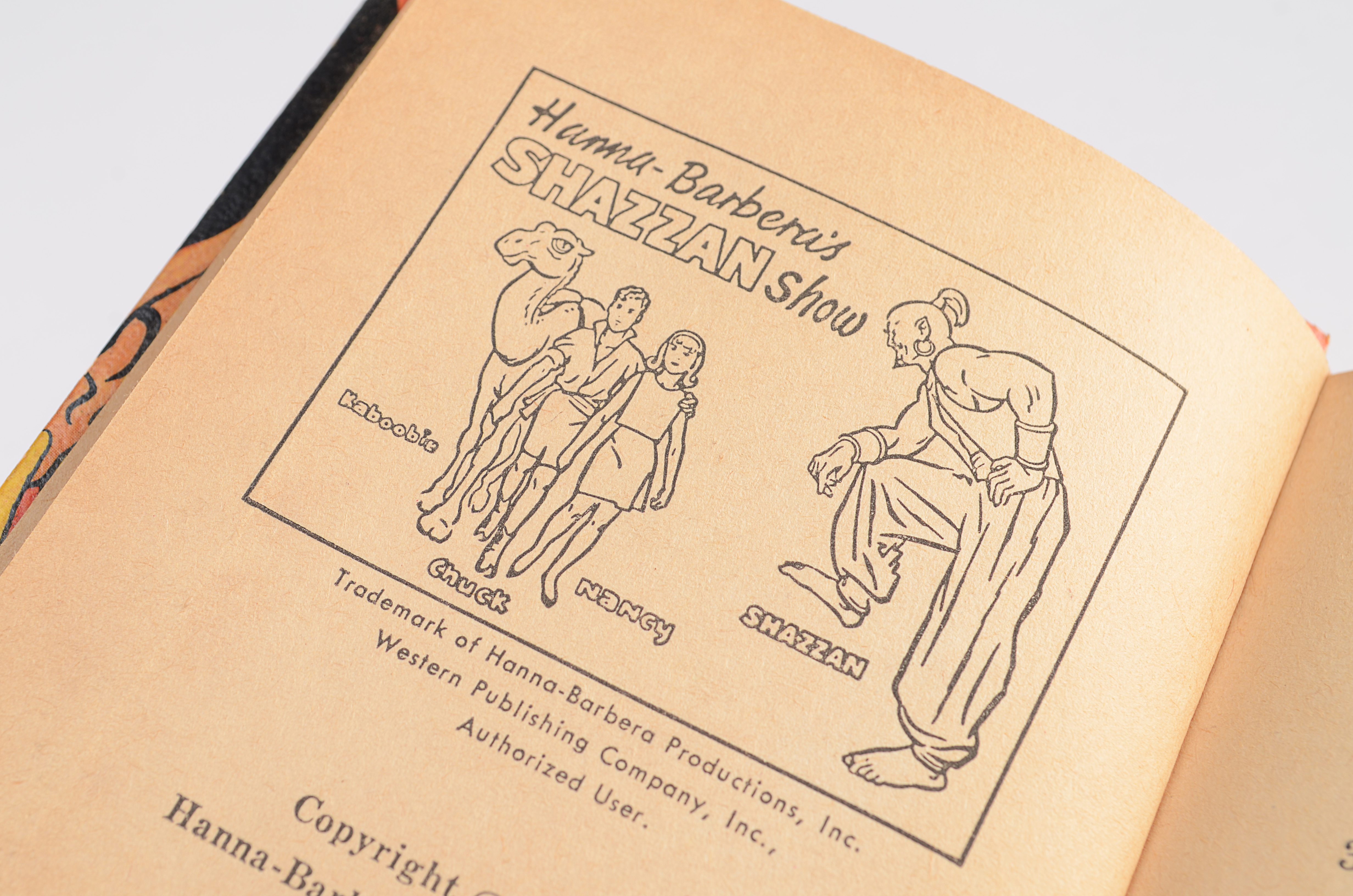 Donald Duck and Shazzan Illustrated "Little Big Books"