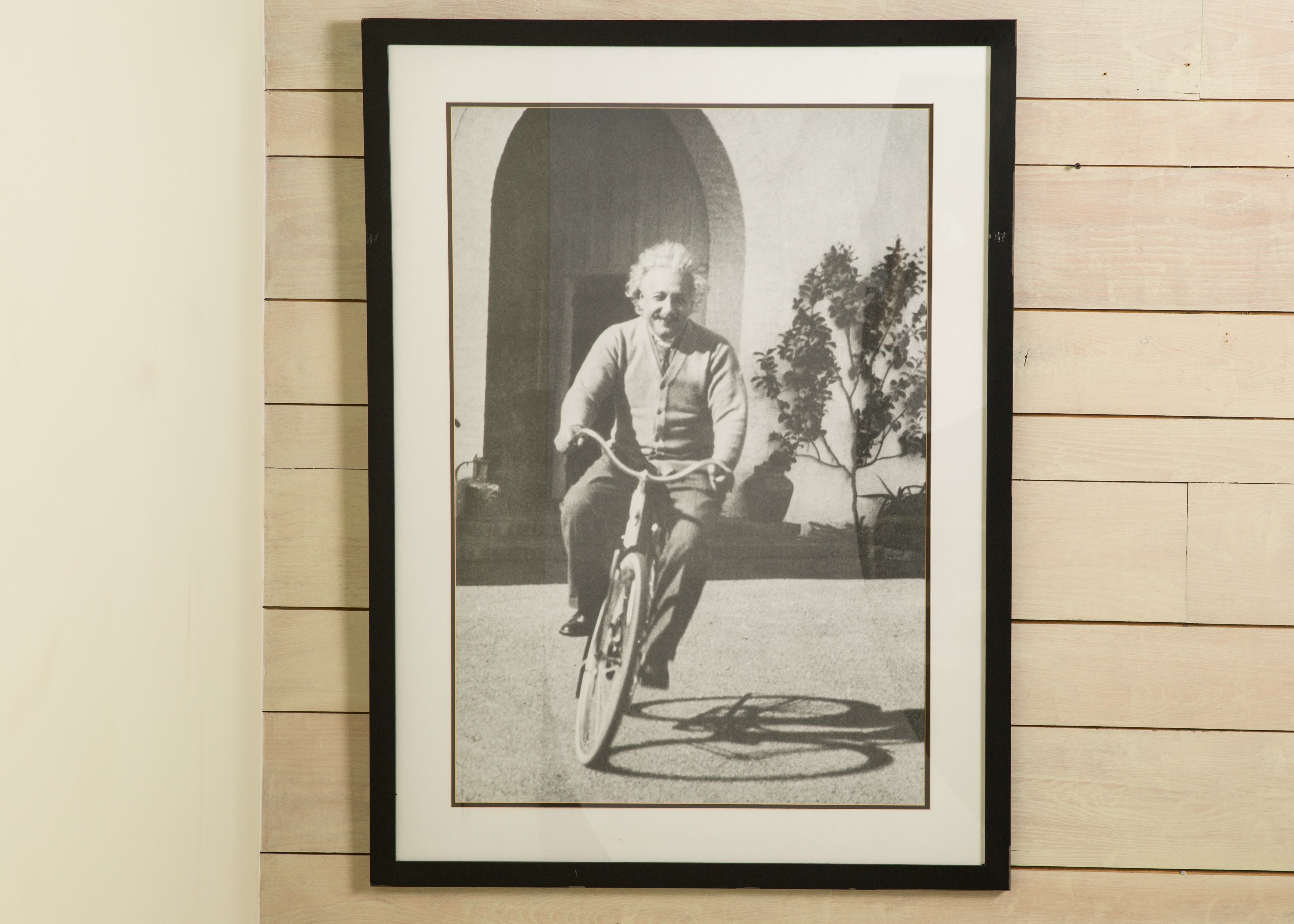 Albert einstein riding cheap a bike