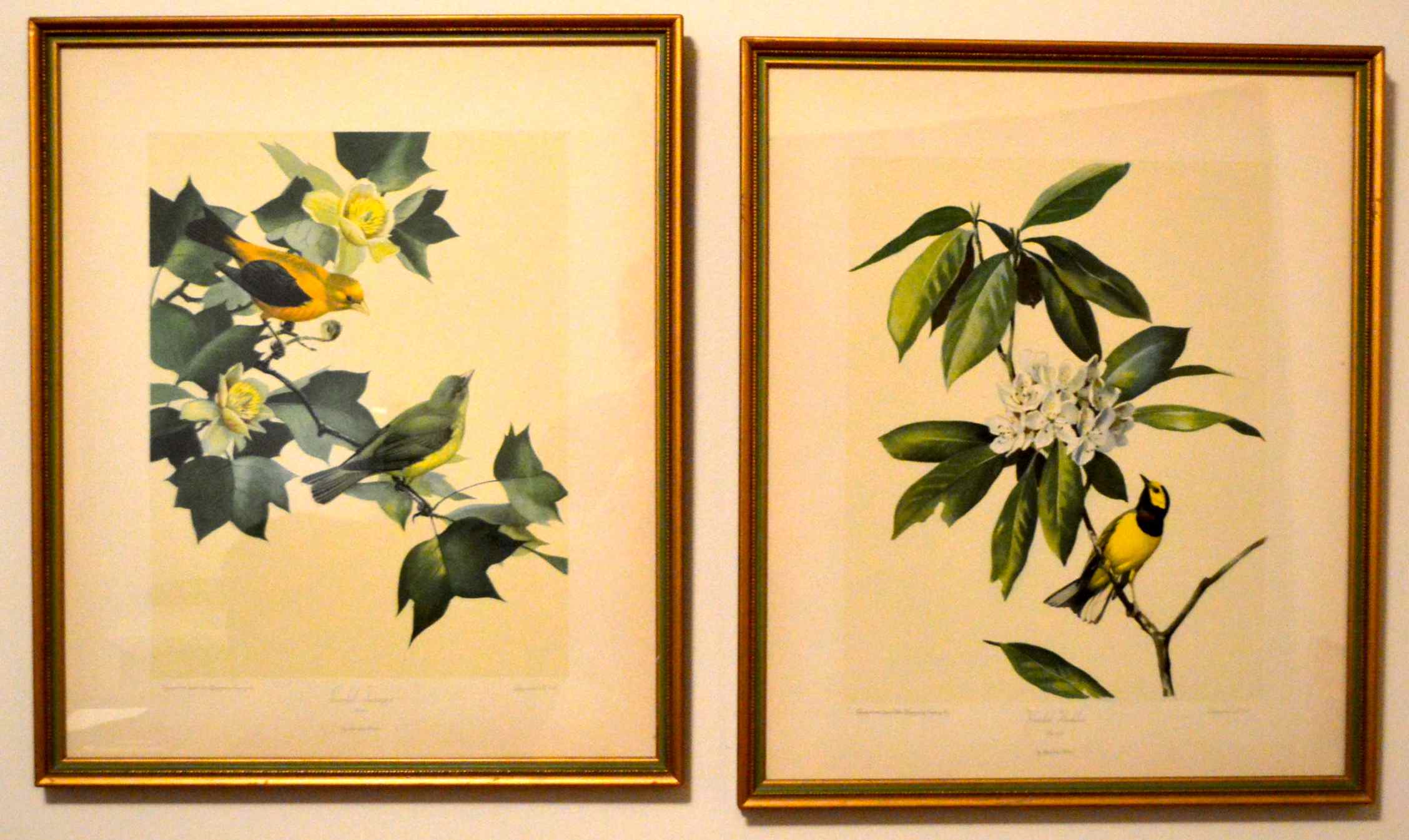 Two Bird Prints by Roger Tory Peterson