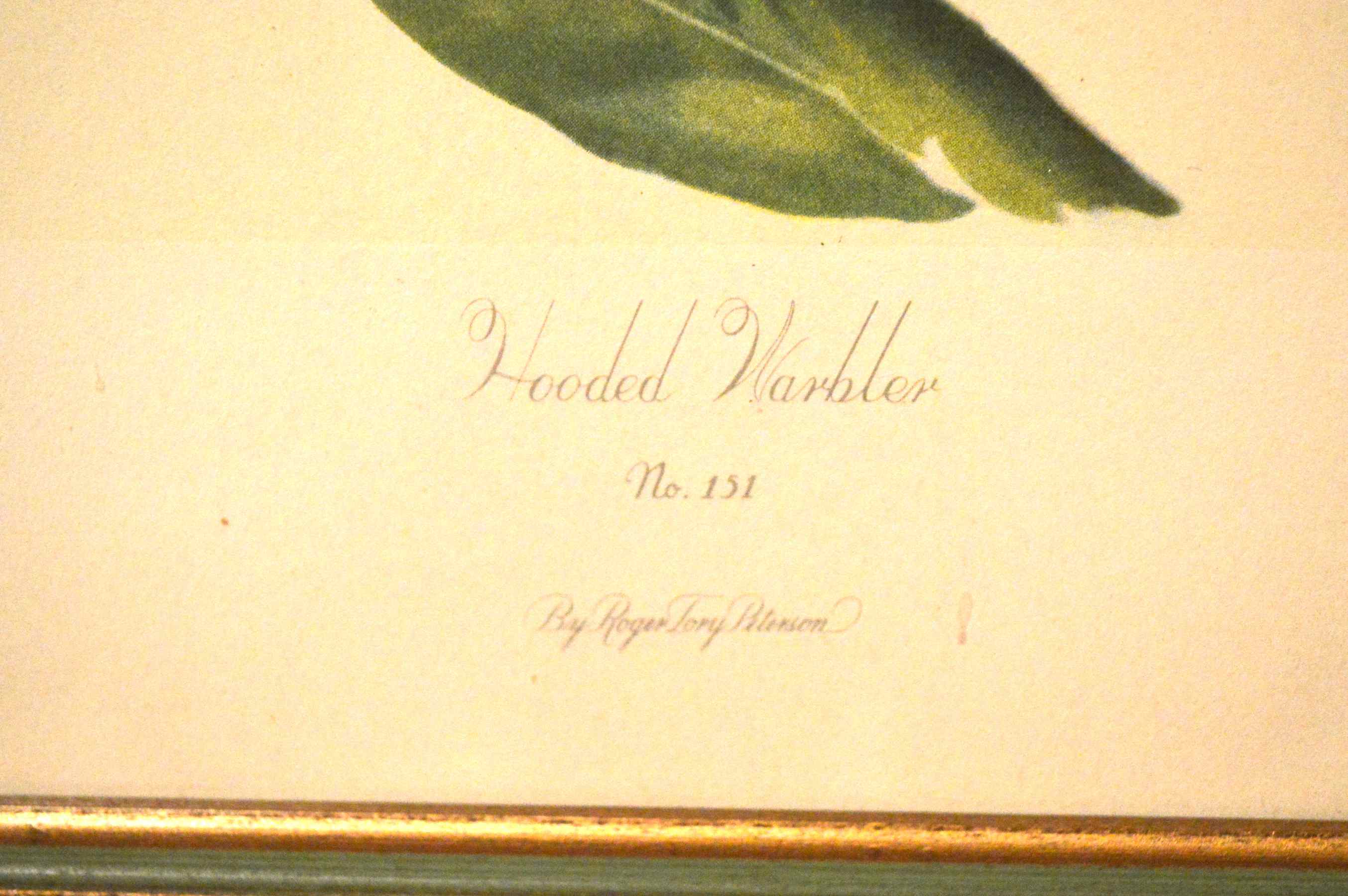 Two Bird Prints by Roger Tory Peterson