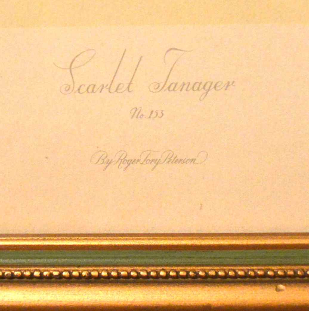 Two Bird Prints by Roger Tory Peterson