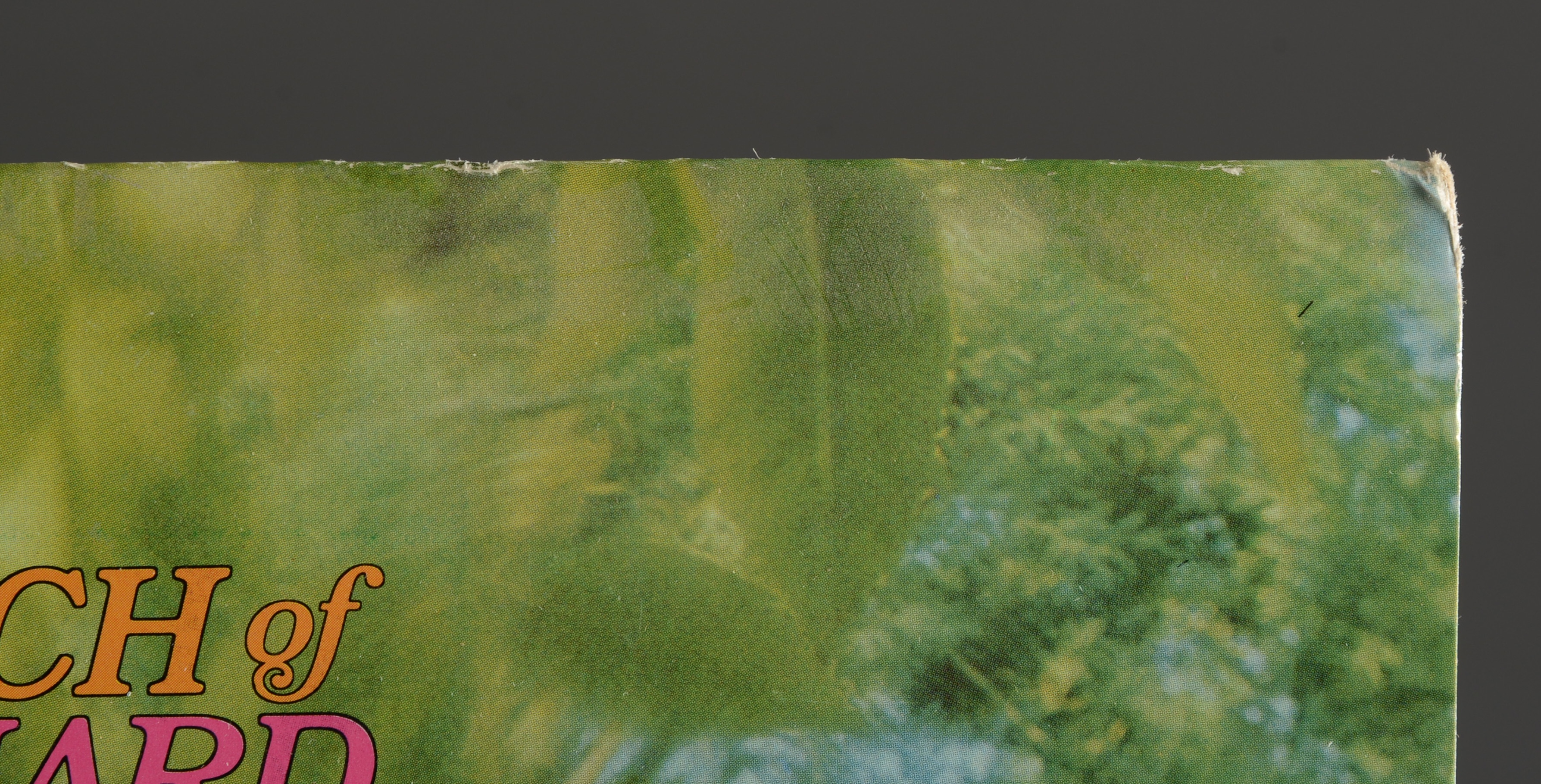 Pair of Vintage Leonard Nimoy Records