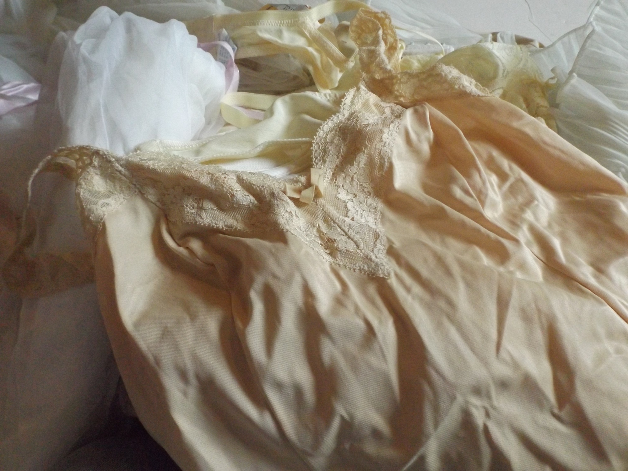 Vintage Lingerie Collection