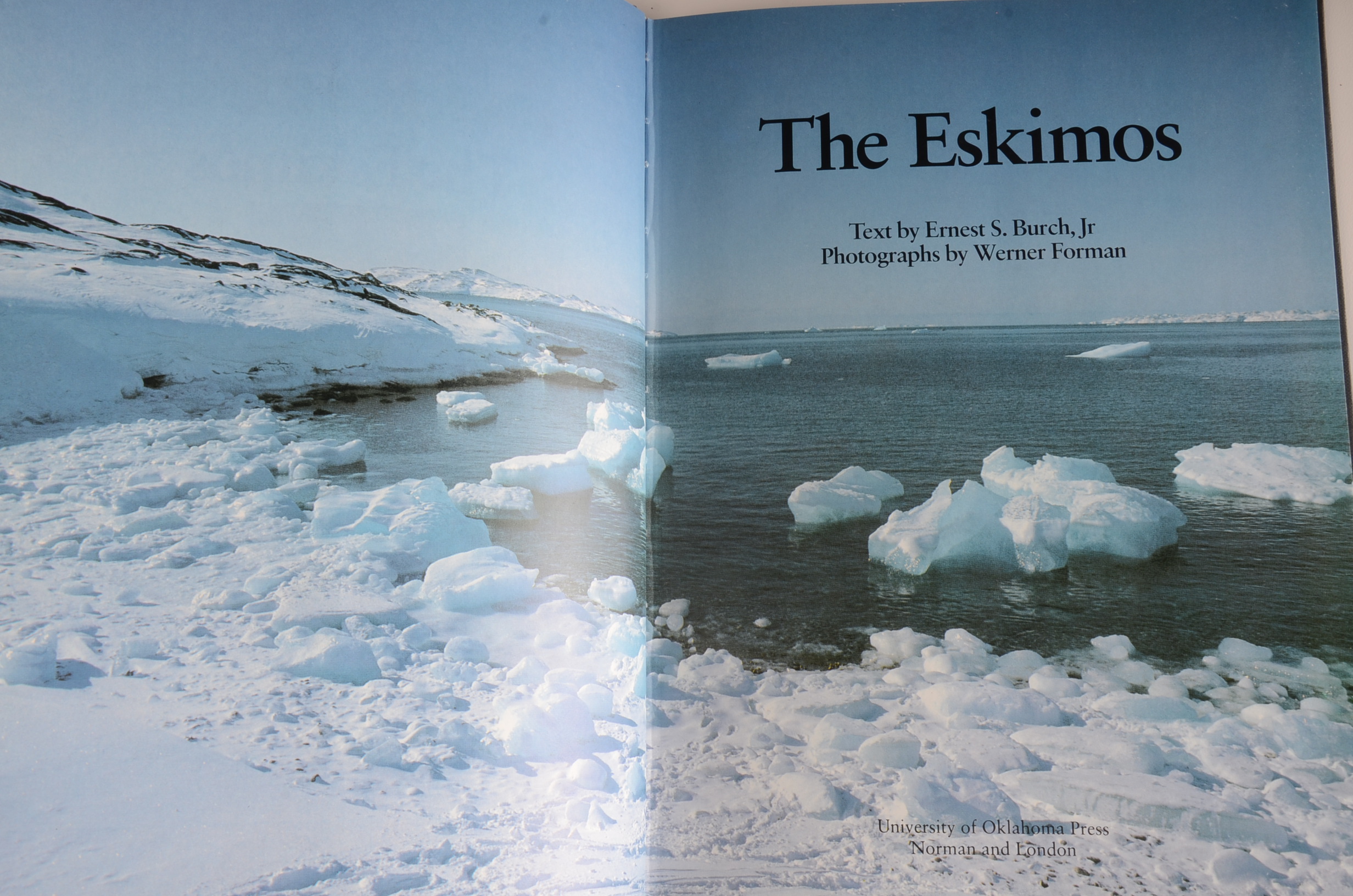 Collection of Books from Novels to Advertising History