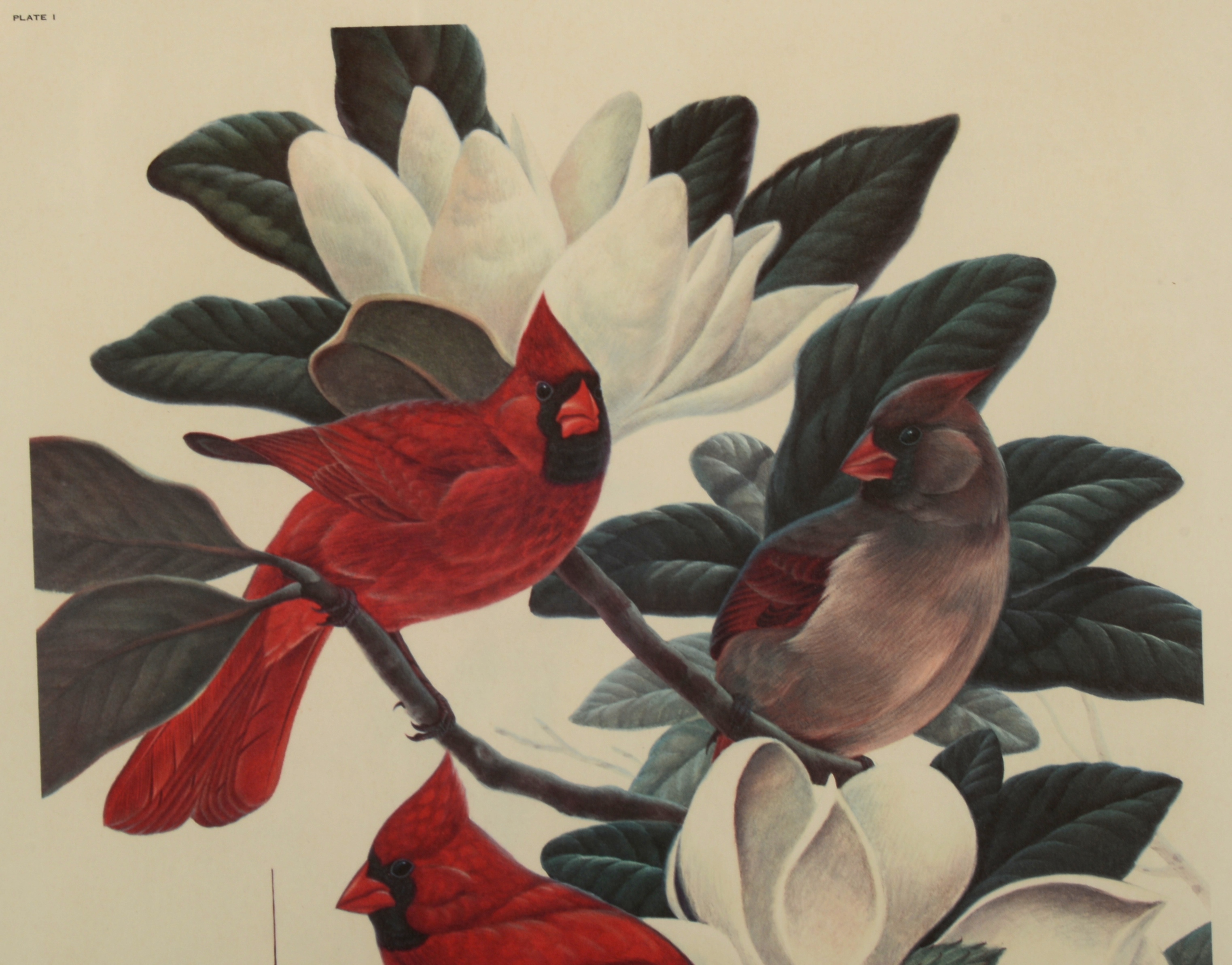 RARE John A. Ruthven Artist's Proof