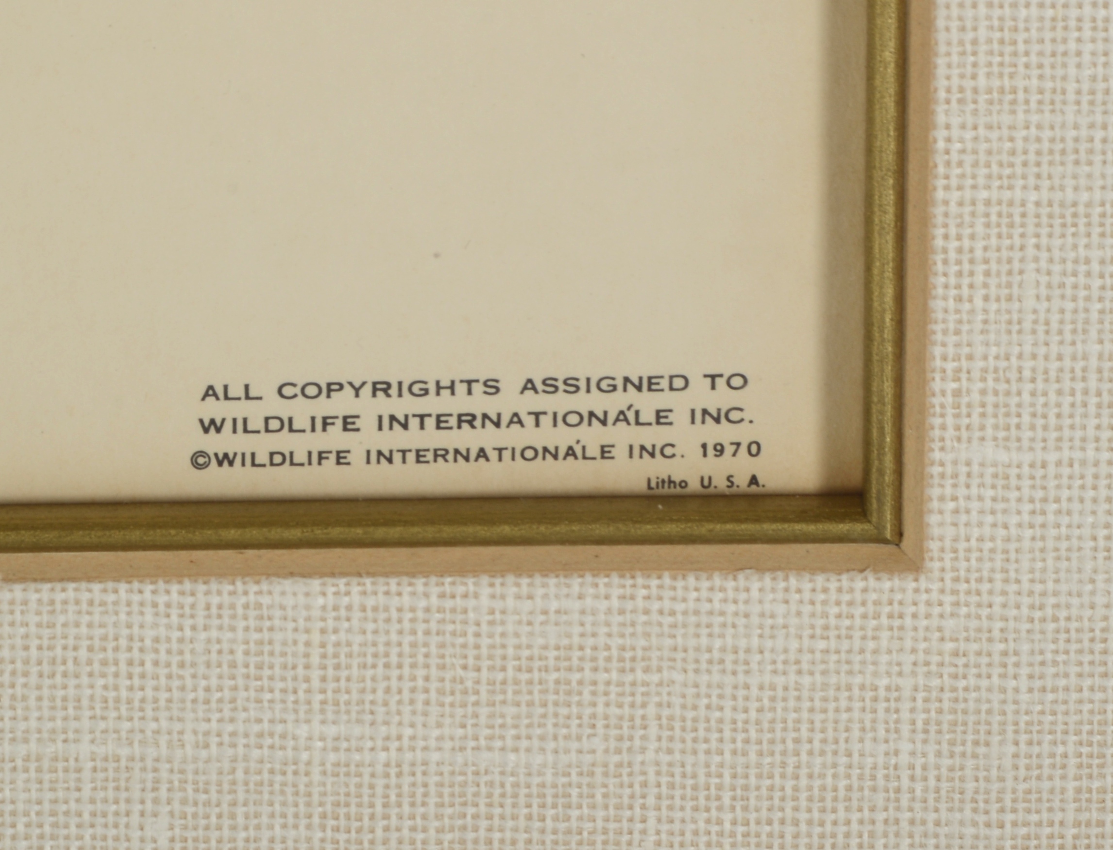 RARE John A. Ruthven Artist's Proof