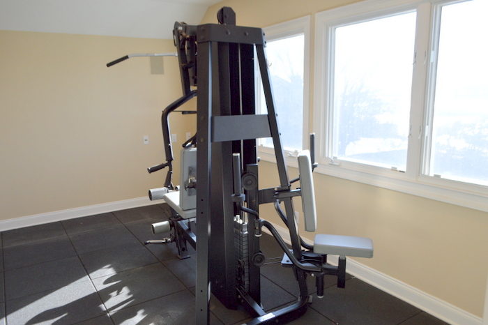 Hoist Fitness System H500