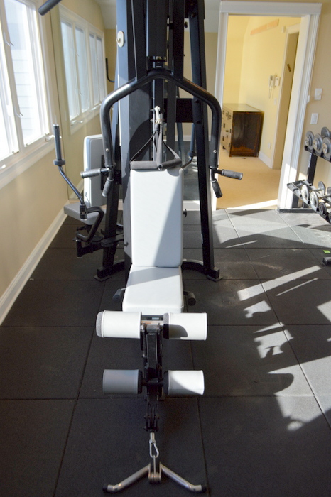 Hoist Fitness System H500