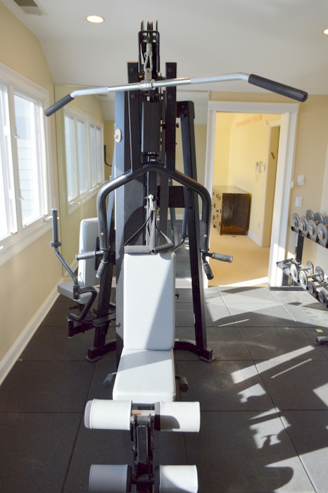Hoist Fitness System H500