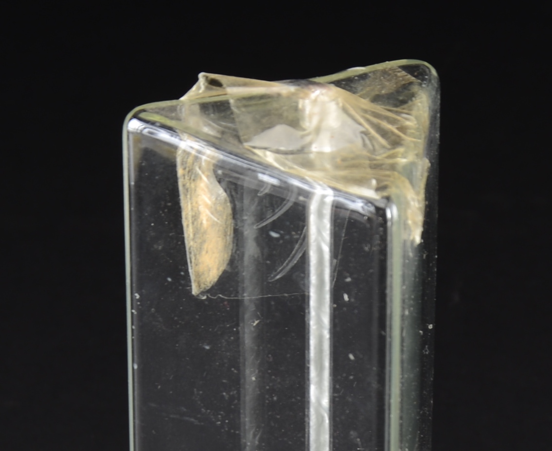 Trio of Modern Oil Lamps 