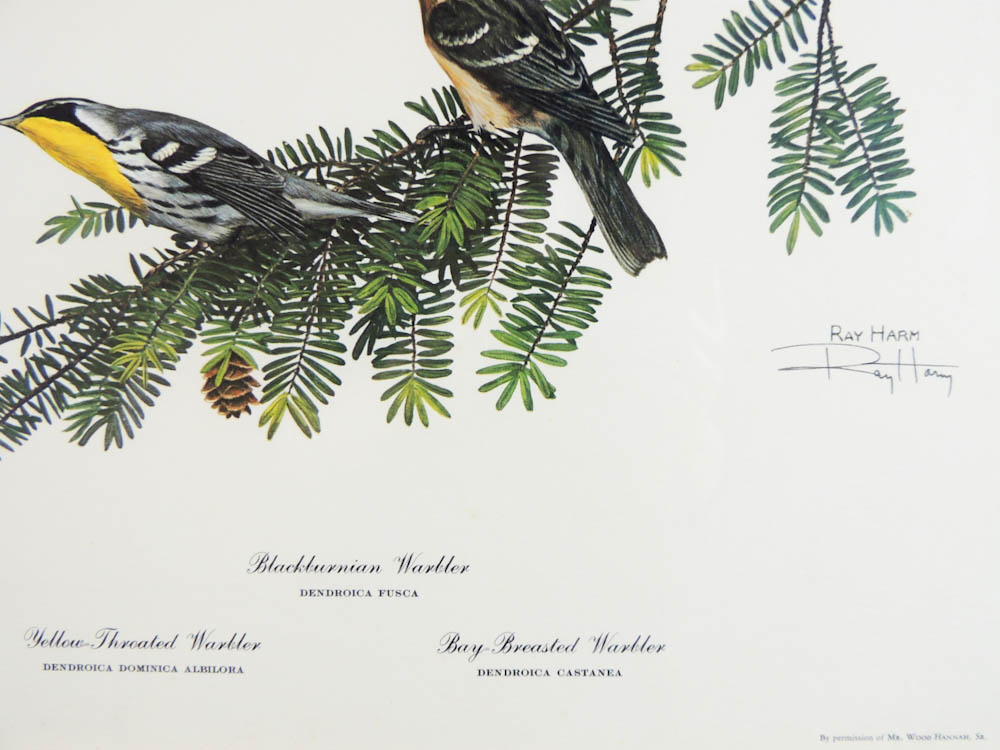 Pair of Ray Harm Signed Warbler Prints