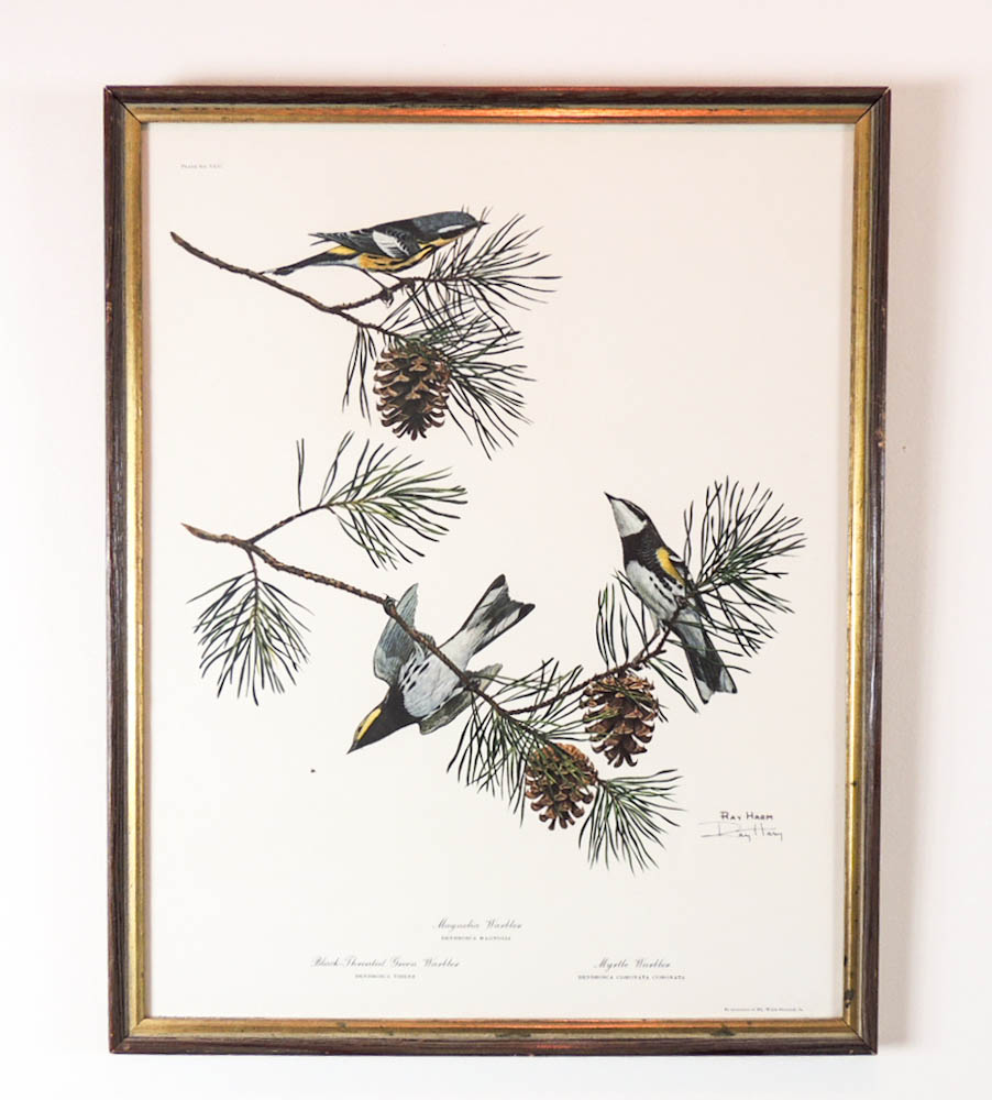 Pair of Ray Harm Signed Warbler Prints