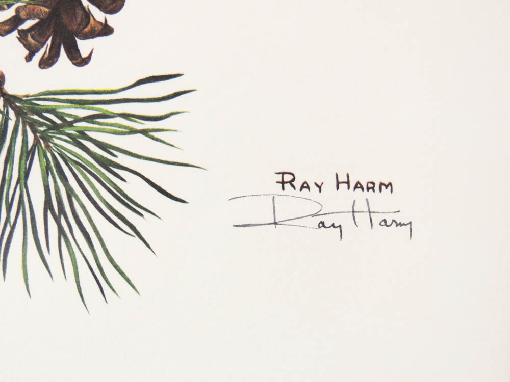 Pair of Ray Harm Signed Warbler Prints