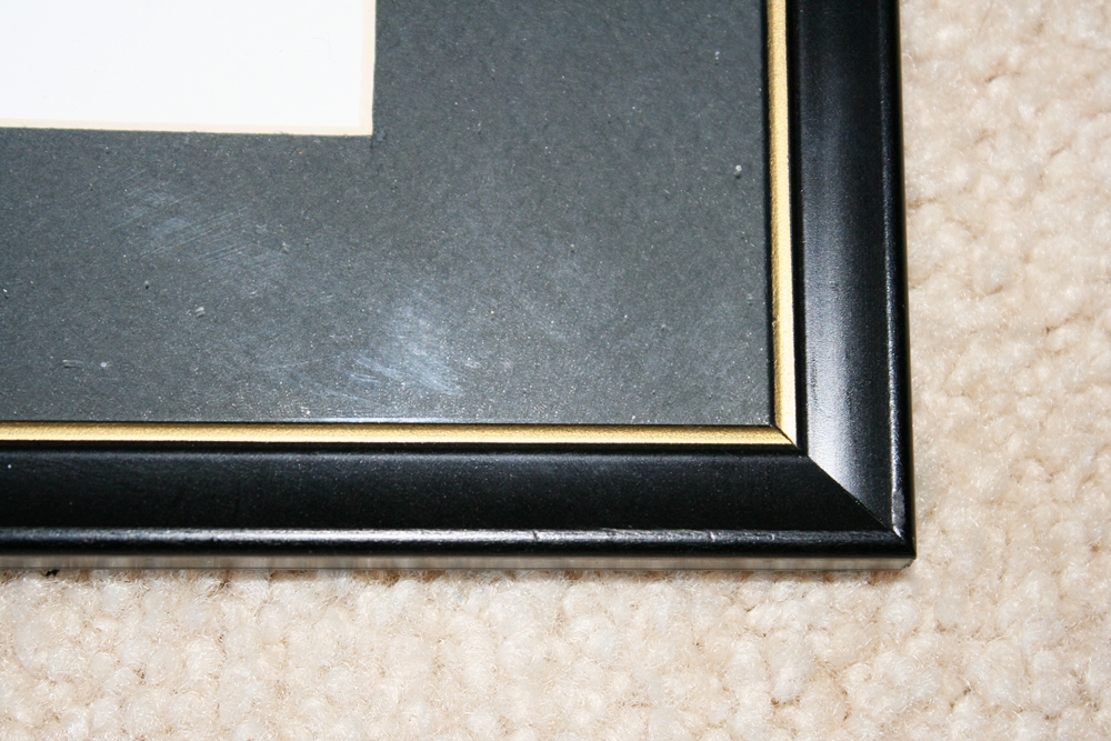 Original Ink Drawing of Eden Park