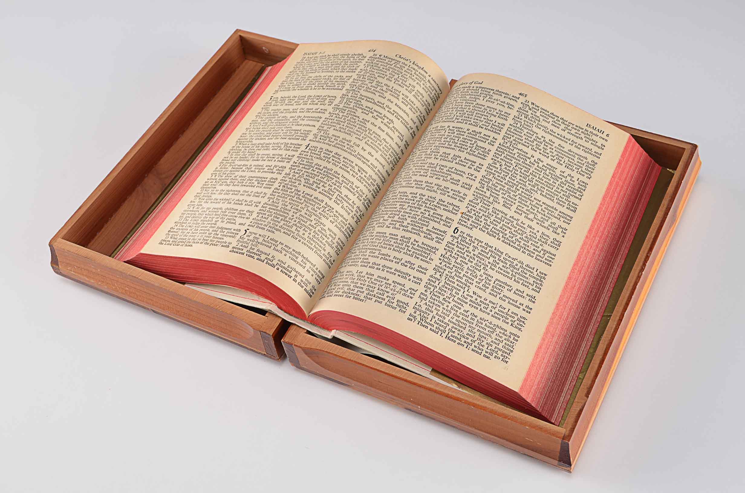 Vintage Holy Bible in Tourist Cedar Box