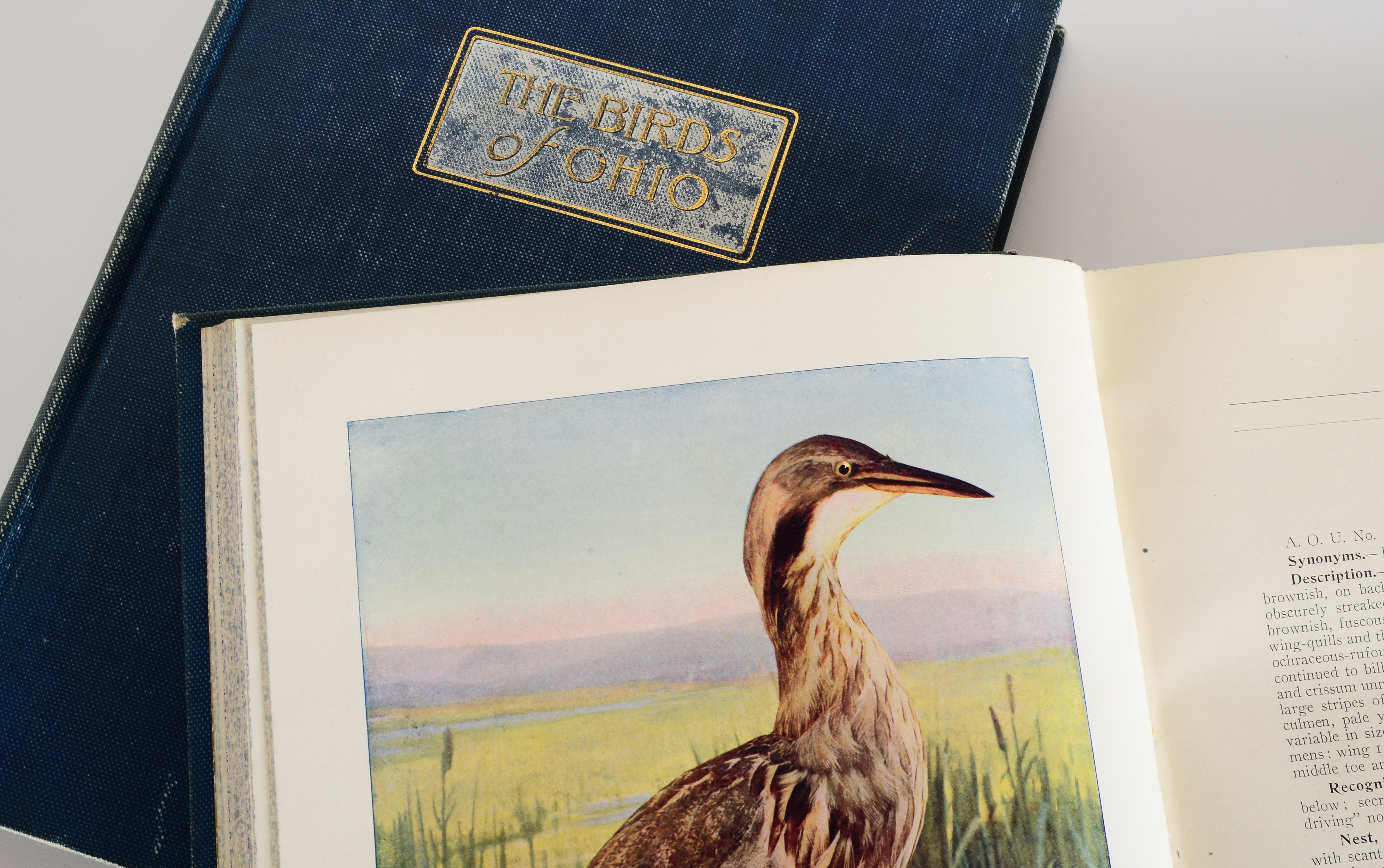 Eclectic Selection of Vintage Books