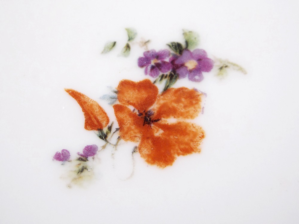 Antique Limoges France Avenir Octagonal G, D & Cie Dinnerware 