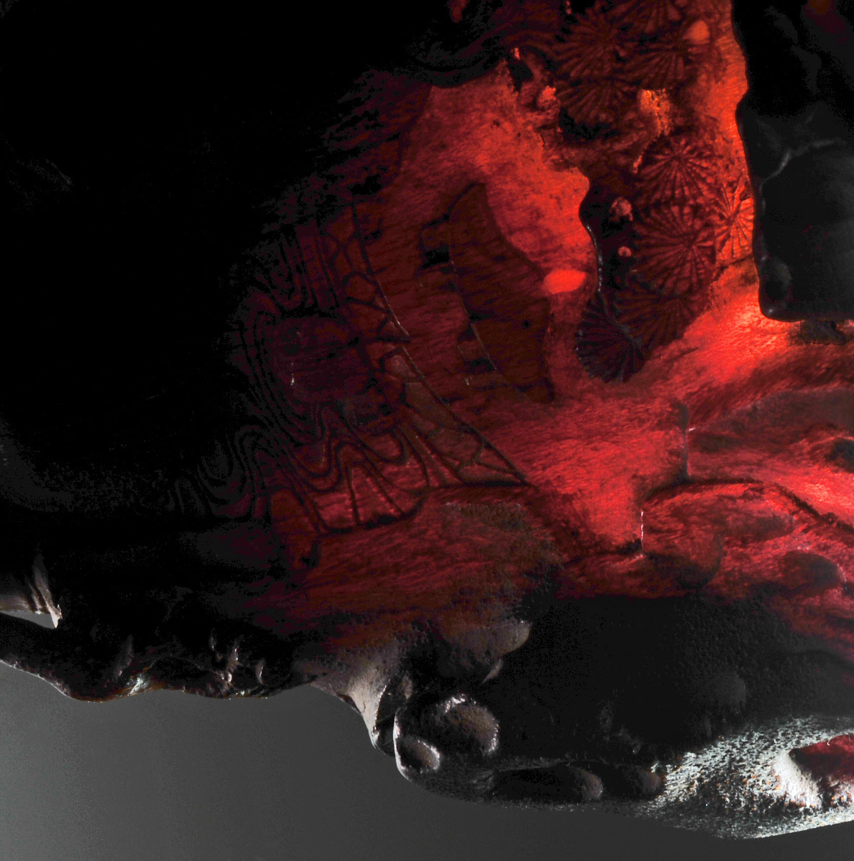 Fine 17th Century Chinese Rhinoceros Horn Libation Cup