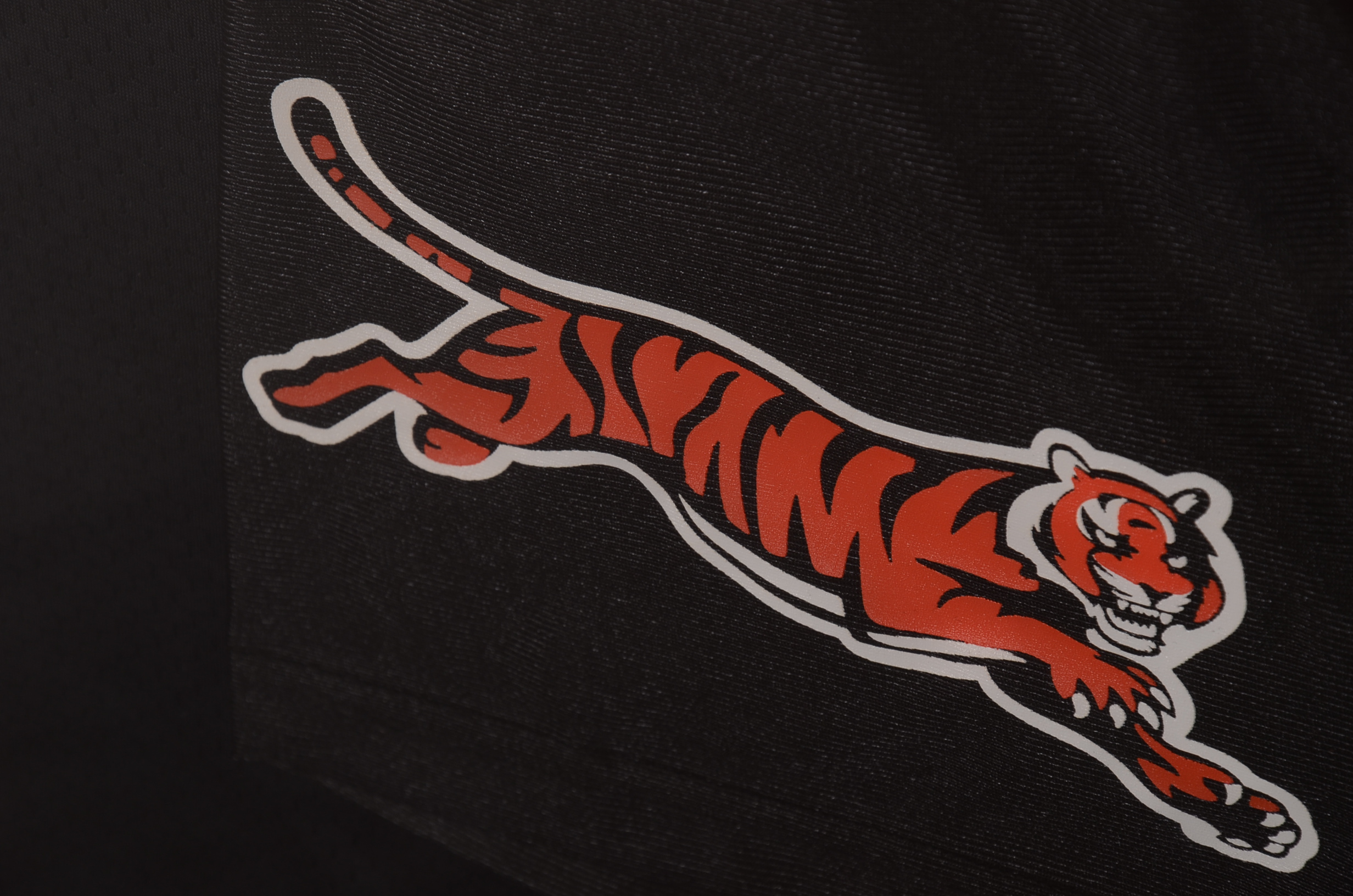 Chad Johnson Signed and Framed Cincinnati Bengas Jersey/PSA