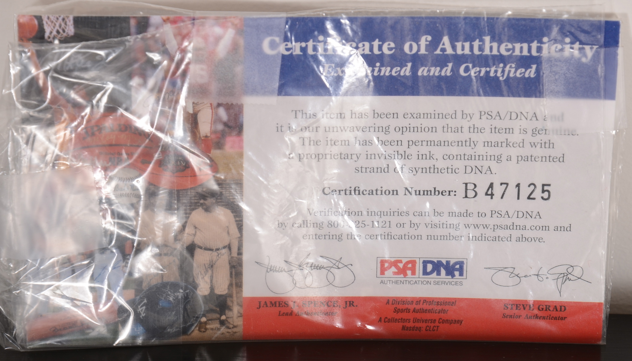 Chad Johnson Signed and Framed Cincinnati Bengas Jersey/PSA