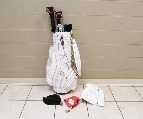 Gold Club Set with Big Bertha and Wilson Clubs