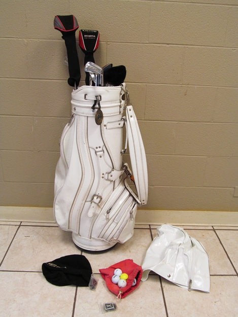Gold Club Set with Big Bertha and Wilson Clubs
