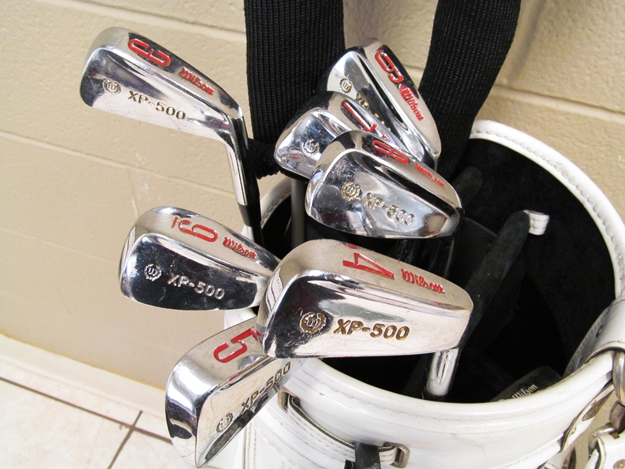 Gold Club Set with Big Bertha and Wilson Clubs