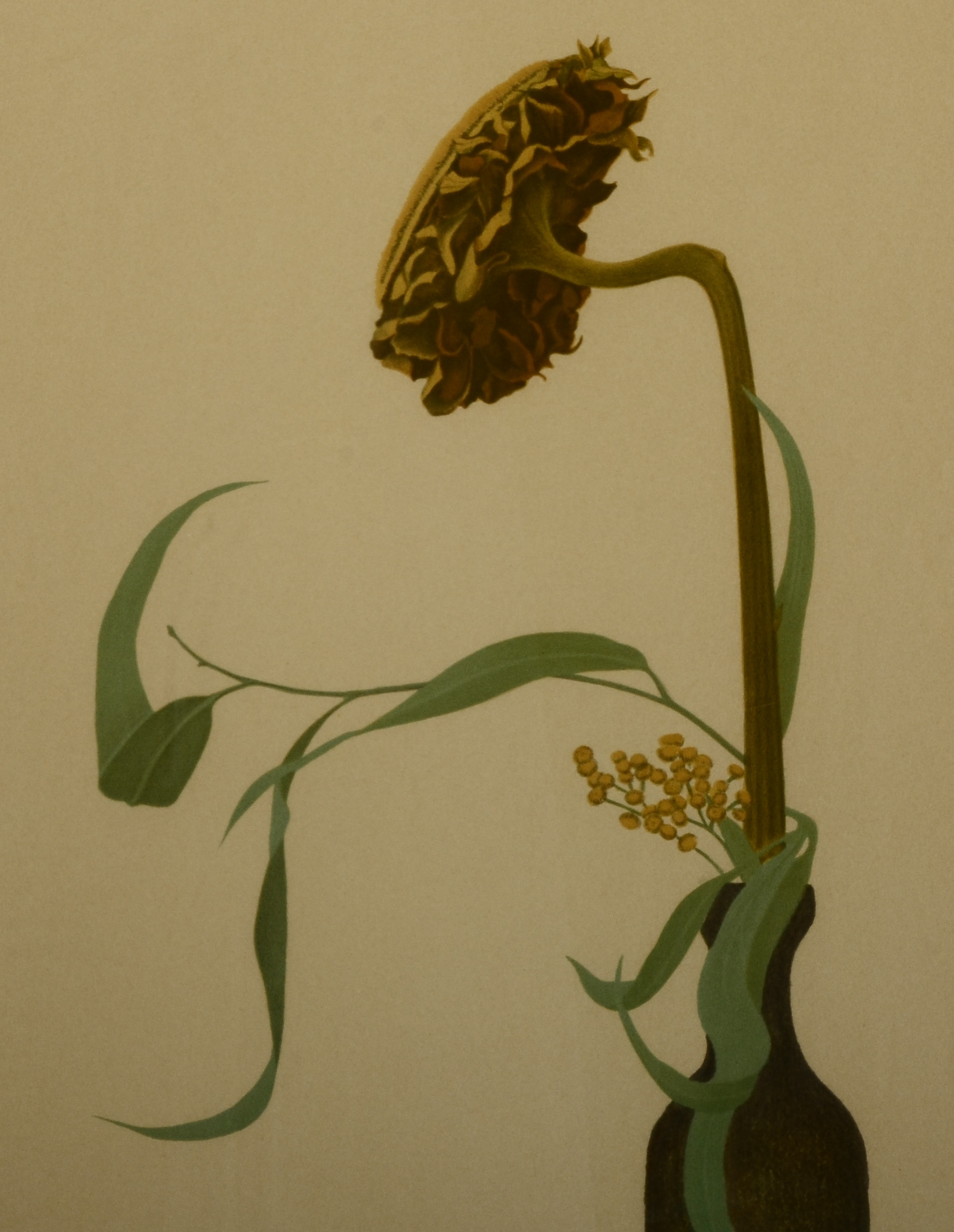 Signed and Framed Cartoh Lithographic Floral Prints