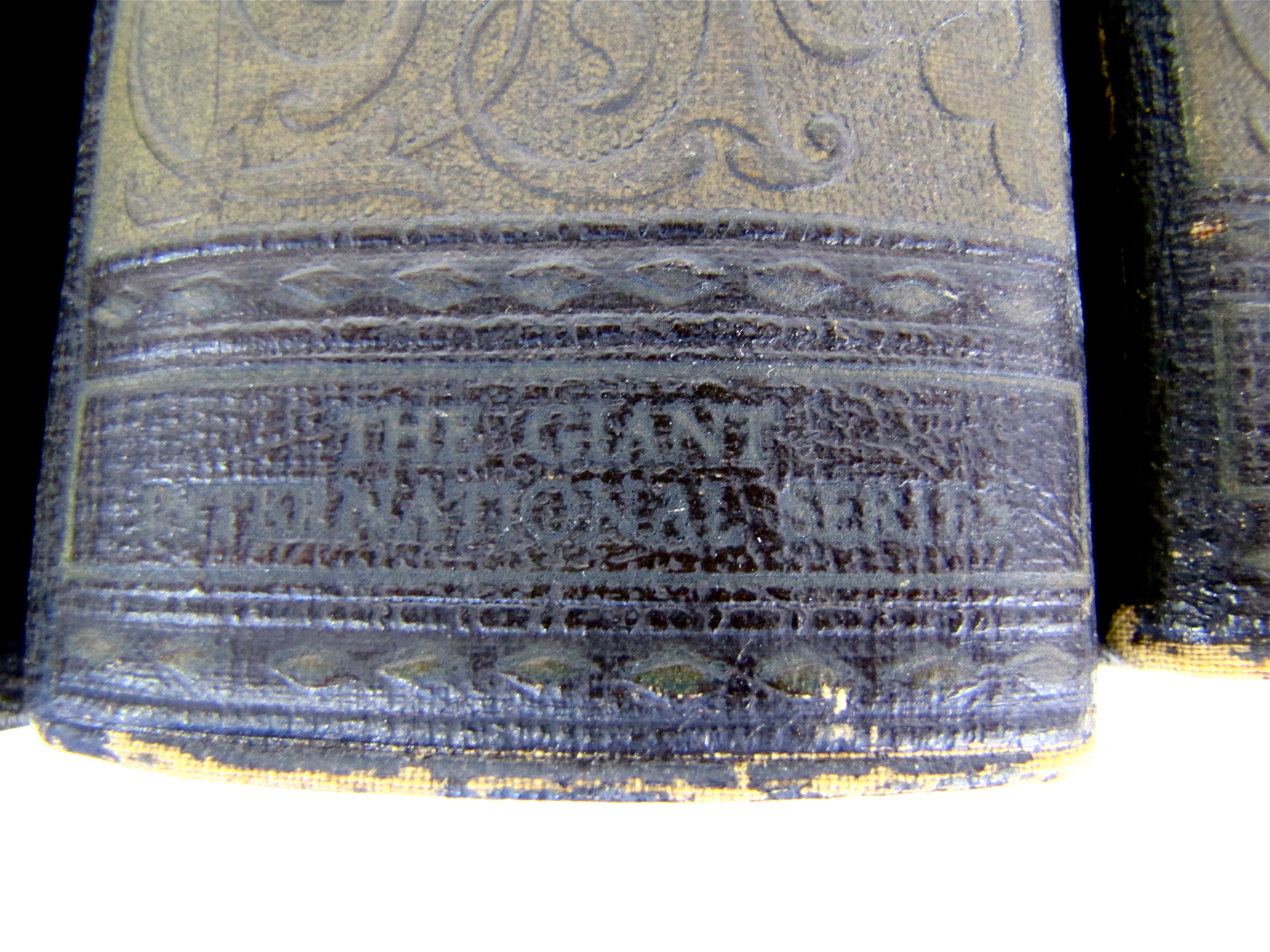 1920’s Giant International Series 10 Volumes of  Famous Author’s Complete Works