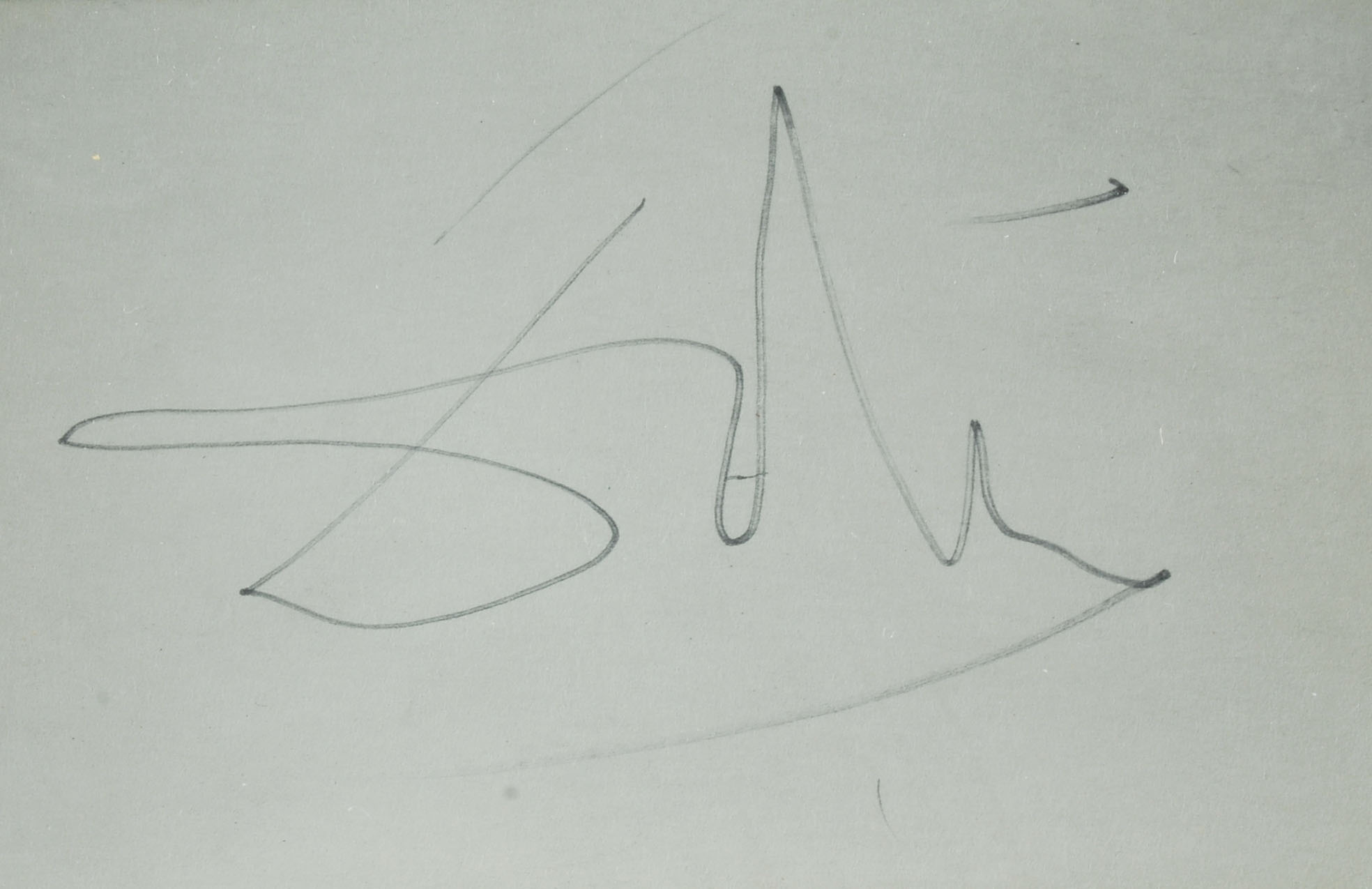 Salvador Dali Cut and Framed Signature