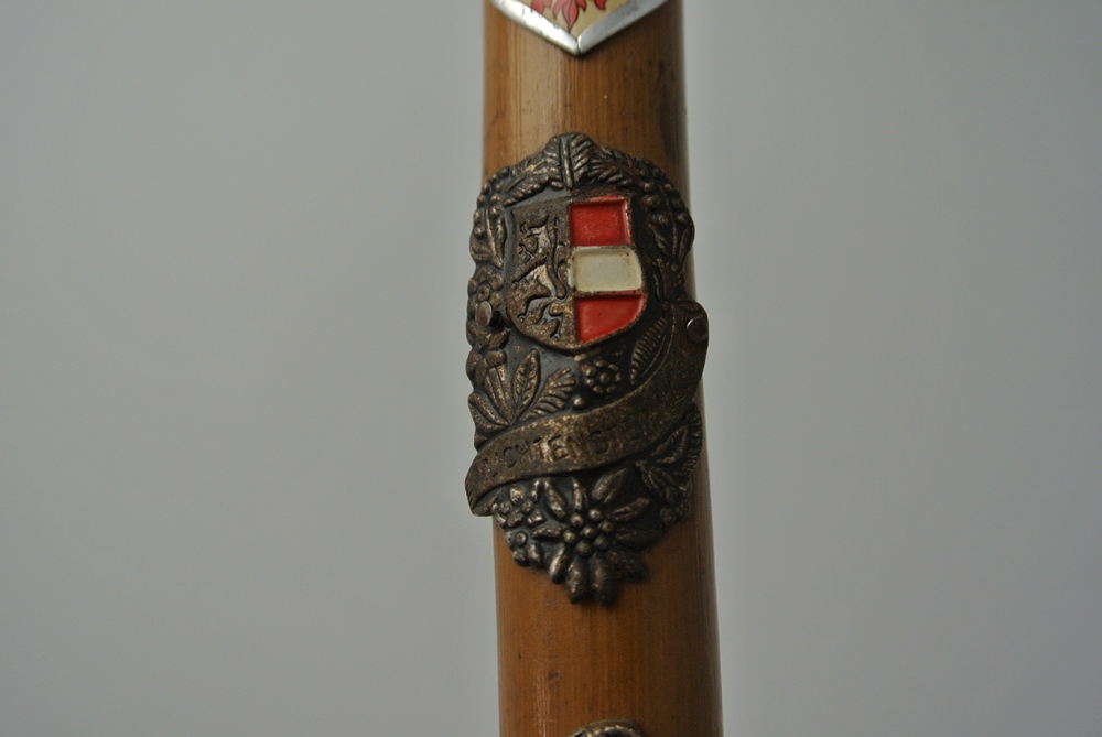 Vintage German Walking Stick with Regional Medallions