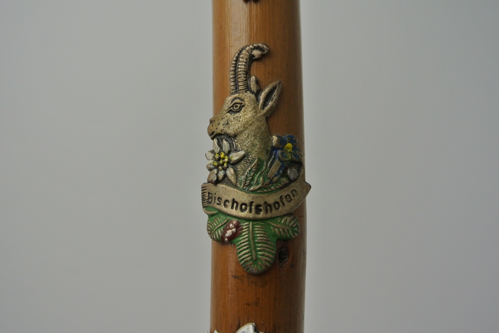 Vintage German Walking Stick with Regional Medallions