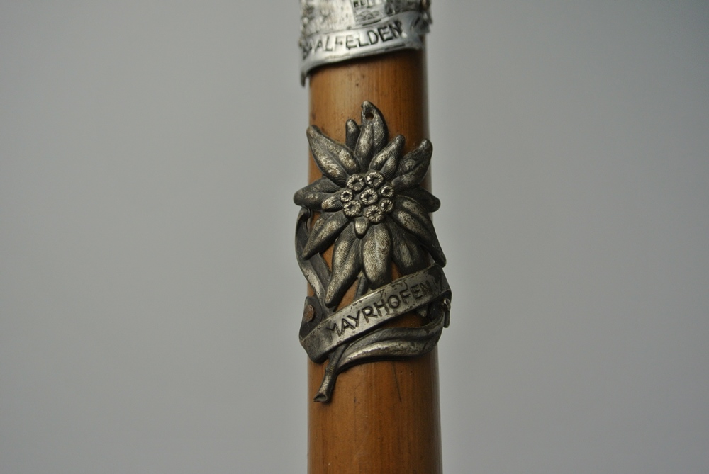 Vintage German Walking Stick with Regional Medallions